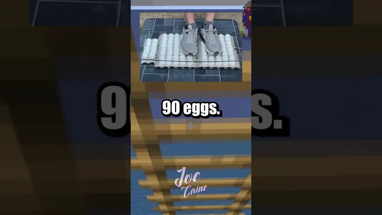 He’s Standing On Eggs? 🥚🤣