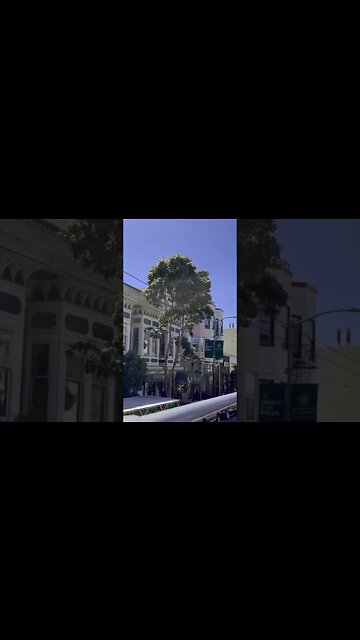 San Francisco Stunning Apartment