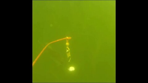 Bread gets stolen fast