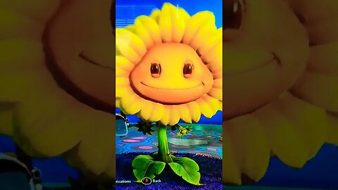 SUNFLOWER MAKEOVER