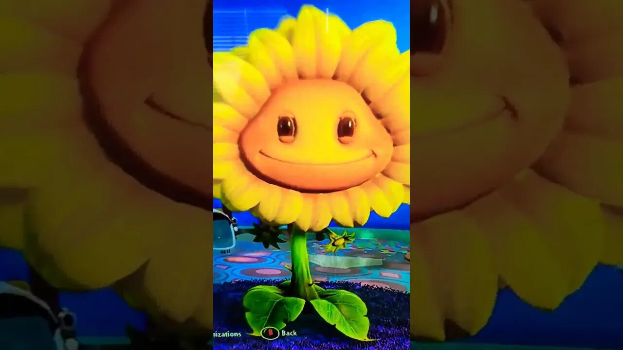 SUNFLOWER MAKEOVER