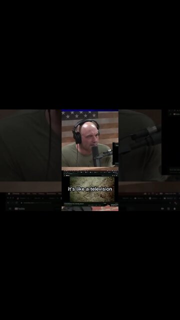 Joe Rogan is fascinated by the complexity of the squid skin with Forrest Galante #shorts