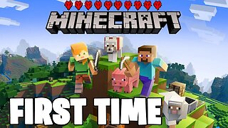 Minecraft Hardcore First Time Be Like....