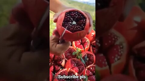 #pomegranate #fruitcutting #foodie #fruits #short #foodblogger #ytshorts #viralvideo #viral