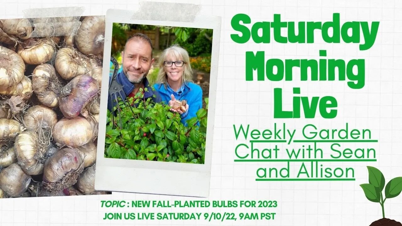 😮 Inspo for New Fall-Planted Bulbs in Your 2023 Spring Garden | Saturday Morning LIVE Garden Chat 😃☕