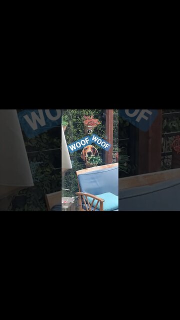 Woof Woof #cigar #cigars #luxury #dog