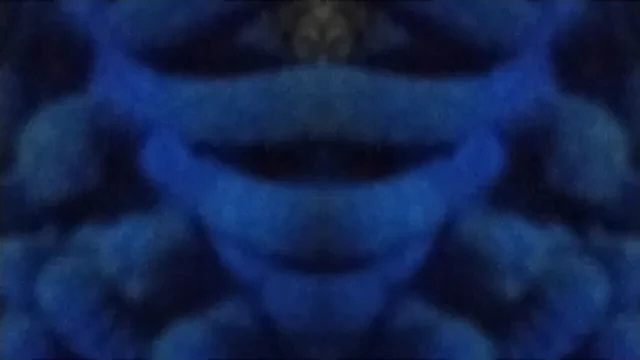 The Magical World of Badeedles w wombat and dis