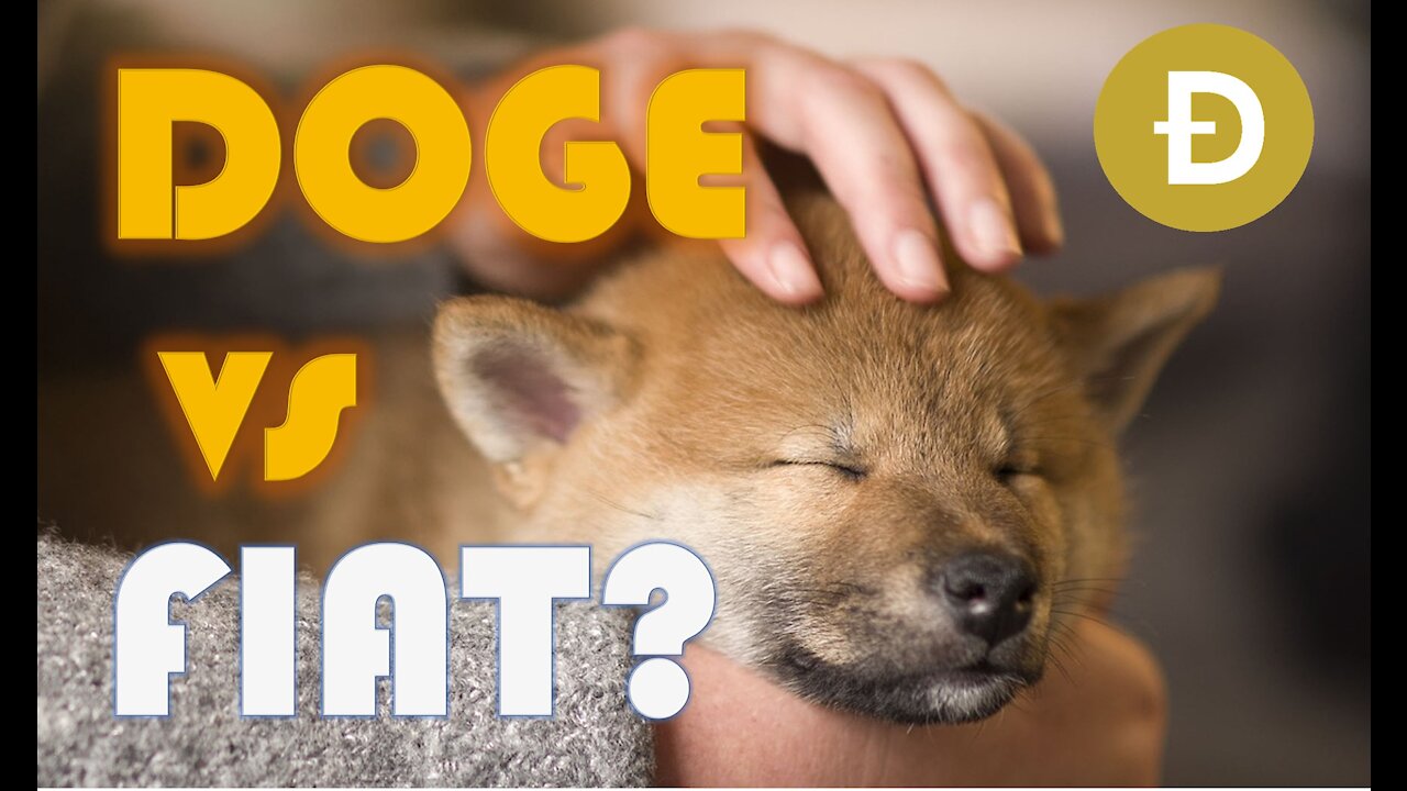 🚀🚀🚀DOGE vs FIAT 💵 - Huge Game! -🐕‍🦺 DOGE outsmarts AI ! - The DogeFather is ELON MUSK - BTFD & Hodl!