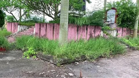 Random clean up of the place of honor - Shock transformation