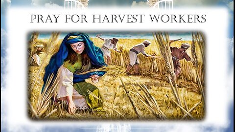 The Harvest is Plentiful but the Labourers are Few