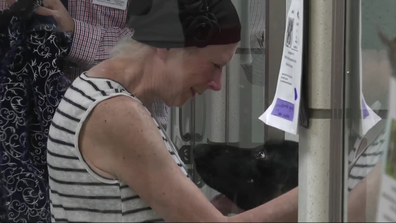 Shelter volunteer honored with kennel in her name