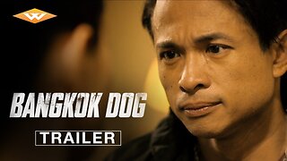 BANGKOK DOG Official Trailer Starring D.Y. Sao On Digital - Latest Update & Release Date