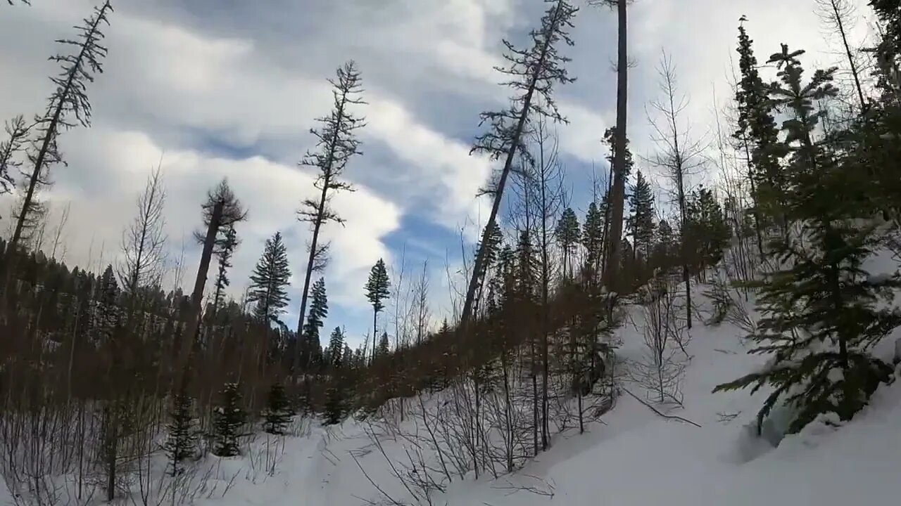 Swift Creek Trail near Whitefish Lake