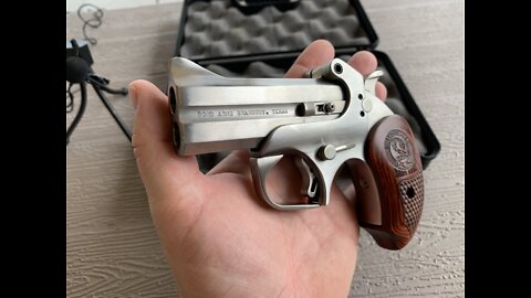 Bond Arms Snake Slayer