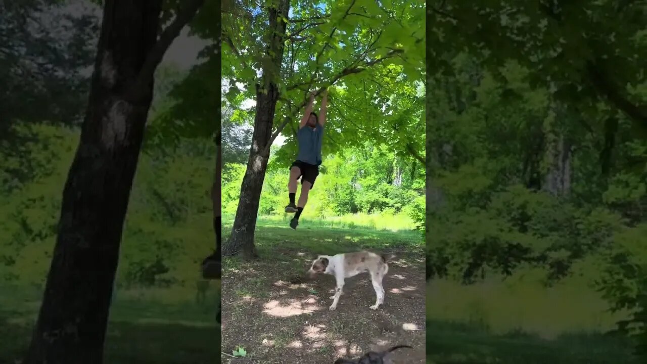 Who Blud Think He Is