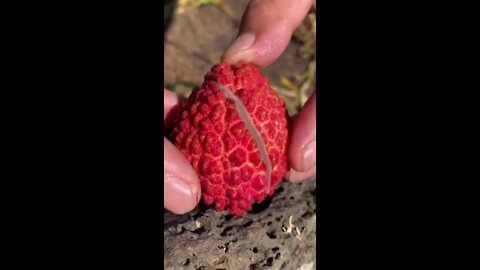 exotic fruit