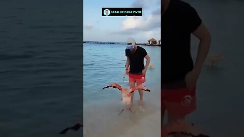 Sai da frenteeeeeeeeeee!!! kkkkkk