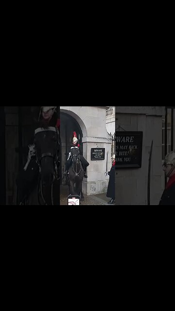 Horse unsettled by iran protest does not want to leave the box #thekingsguard