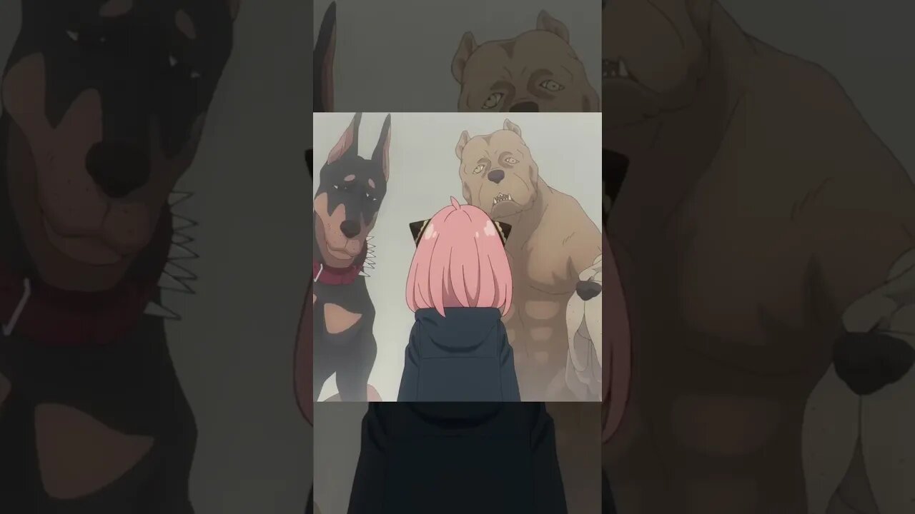 Anya Não Gostou Desses Cachorrinhos Fofos Anime Spy × Family
