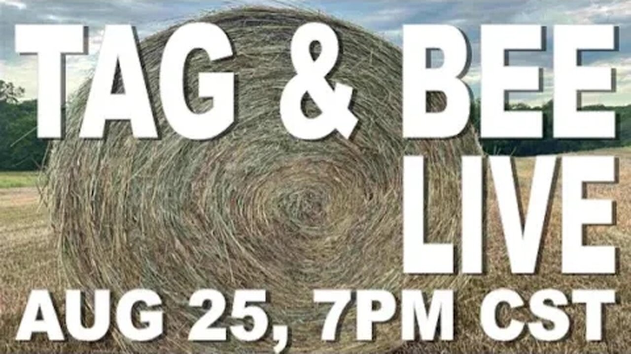 TAG & BEE LIVE