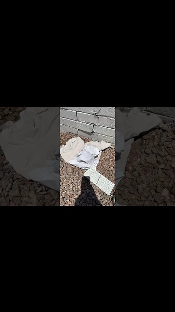 Toys and weird things next to the dumpster behind my house?