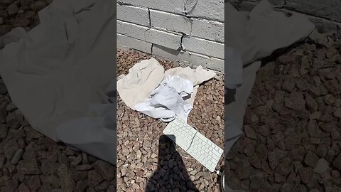 Toys and weird things next to the dumpster behind my house?