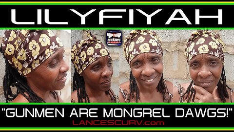 GUNMEN ARE MONGREL DAWGS! | QUEEN LILYFIYAH