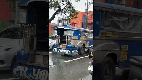 Blue Jeepney #shorts #short #shortvideo #shortsvideo #travel