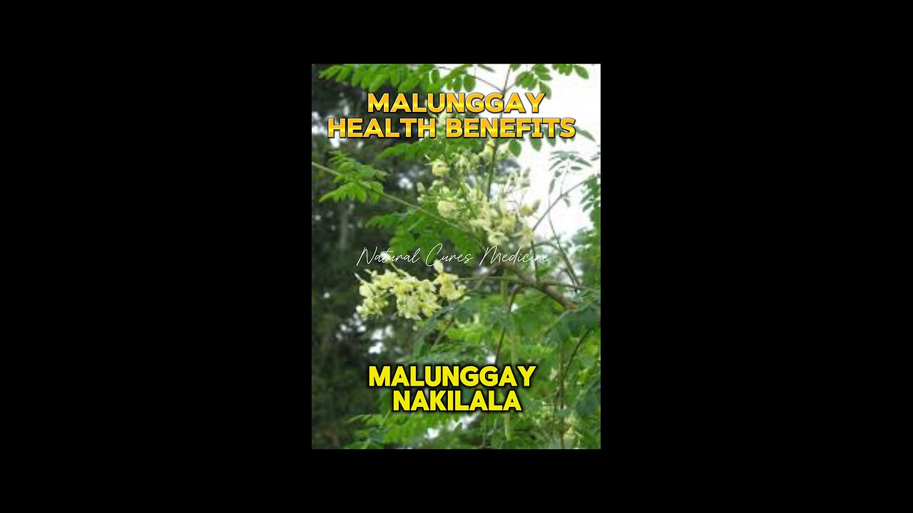 Health Benefits are of Eating Moringa- Malunggay!