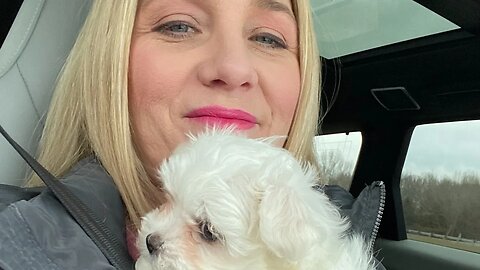 The World Is Going All Wrong So Lisa & @SatoshiSean Get Puppies!