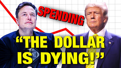 Elon & Trump Need To Bring A WORLD OF HURT To Our Economy! w/ Paul Stone