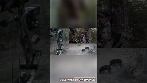 Perfect Heart Shot!! Guess the weight on full video!