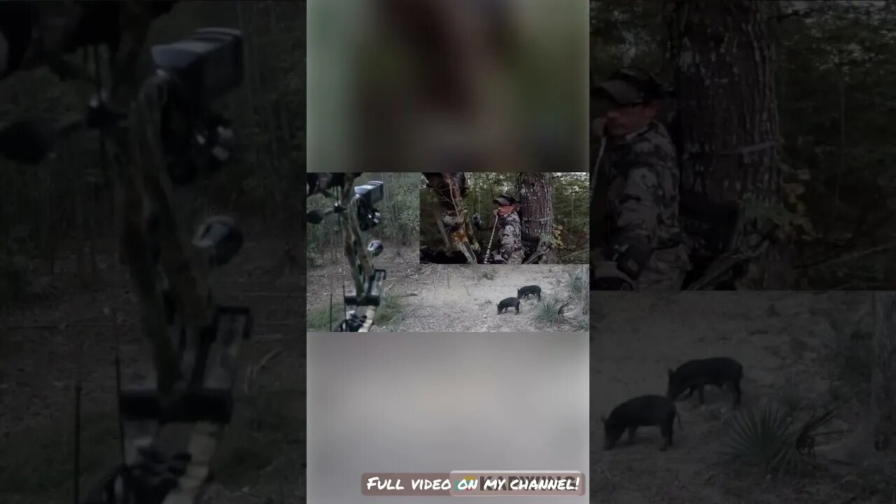 Perfect Heart Shot!! Guess the weight on full video!