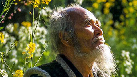 Seed Balls by Masanobu Fukuoka (1997) | How to make Seed Balls | Como hacer Bolas de Semillas