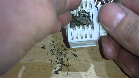 Nano toy keychain shredder taking on Peppermint herb.