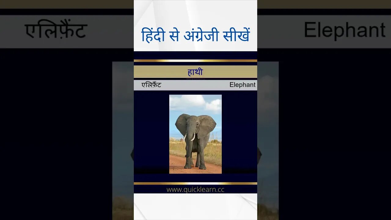 Learn English from Hindi - Animals हिन्दी से अंग्रेजी सीखें #learnenglish #hindi #animals #shorts