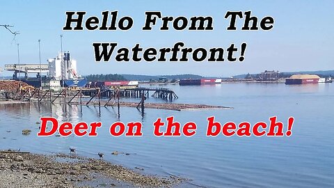 Hello from the Waterfront right here in town!