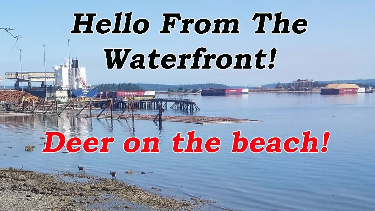 Hello from the Waterfront right here in town!