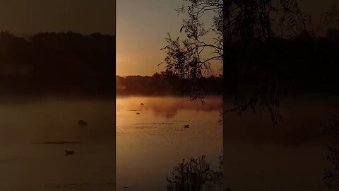 From Sunrise to Sunset Angler Jeff Kolodzinski Unprecedented Fishing Record #shorts