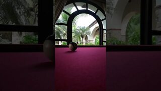 Smashing a DJI Osmo Action 3 with a Pool Ball