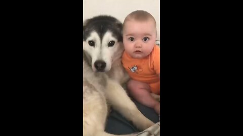 cute dog🥰🥰🥰 #rumble #trending #viral #pet #cute