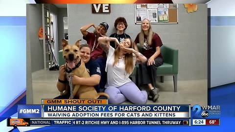 Good morning from Rosalia & the Humane Society of Harford County!