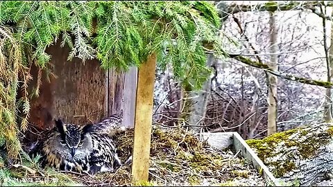 A Mom's Gentle Touch 🥚 03/24/23 15:10