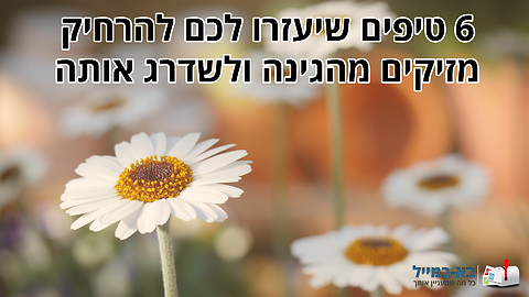 6 טיפים שיעזרו לכם להרחיק מזיקים מהגינה ובו זמנית לשדרג אותה