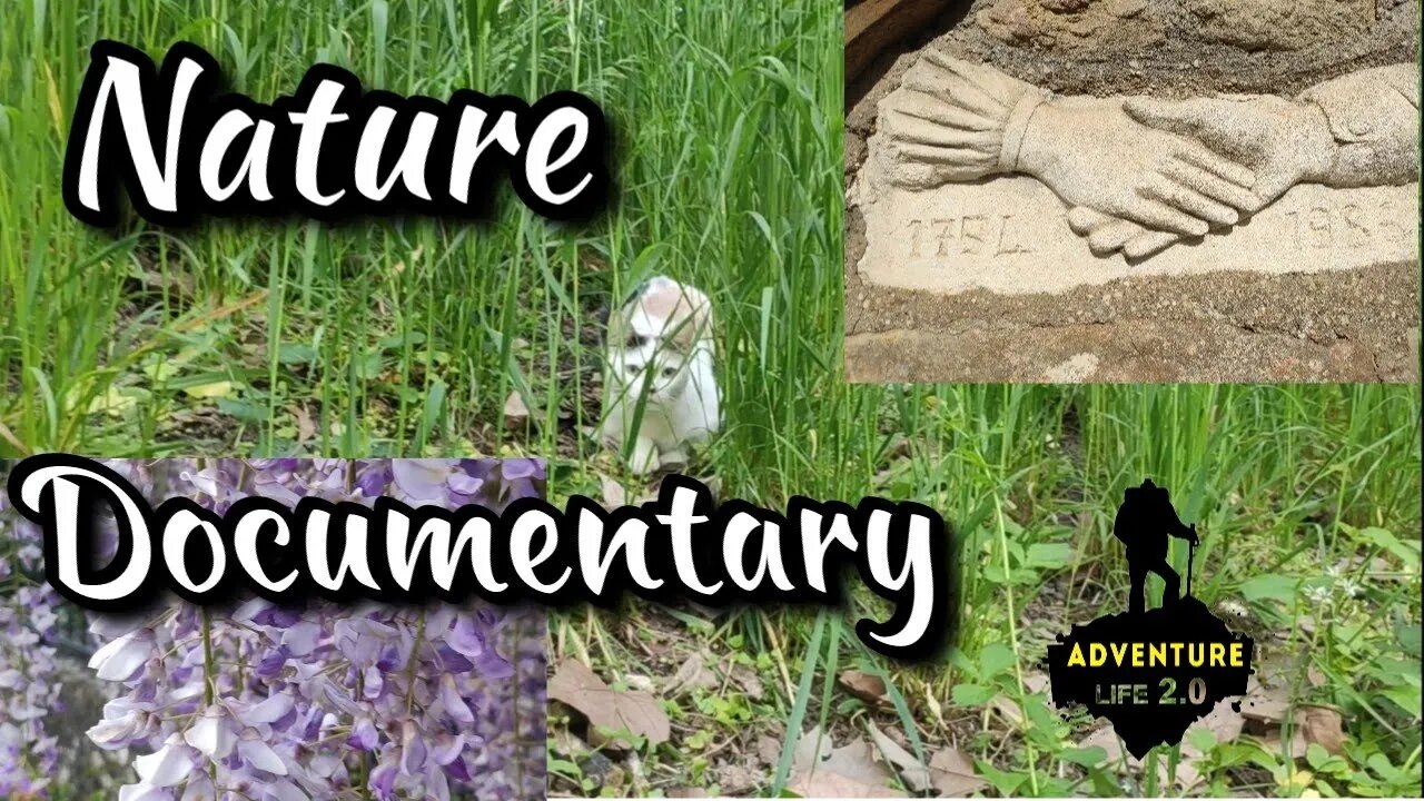 Nature documentary l Nature Relaxation music @AdvantureLife20