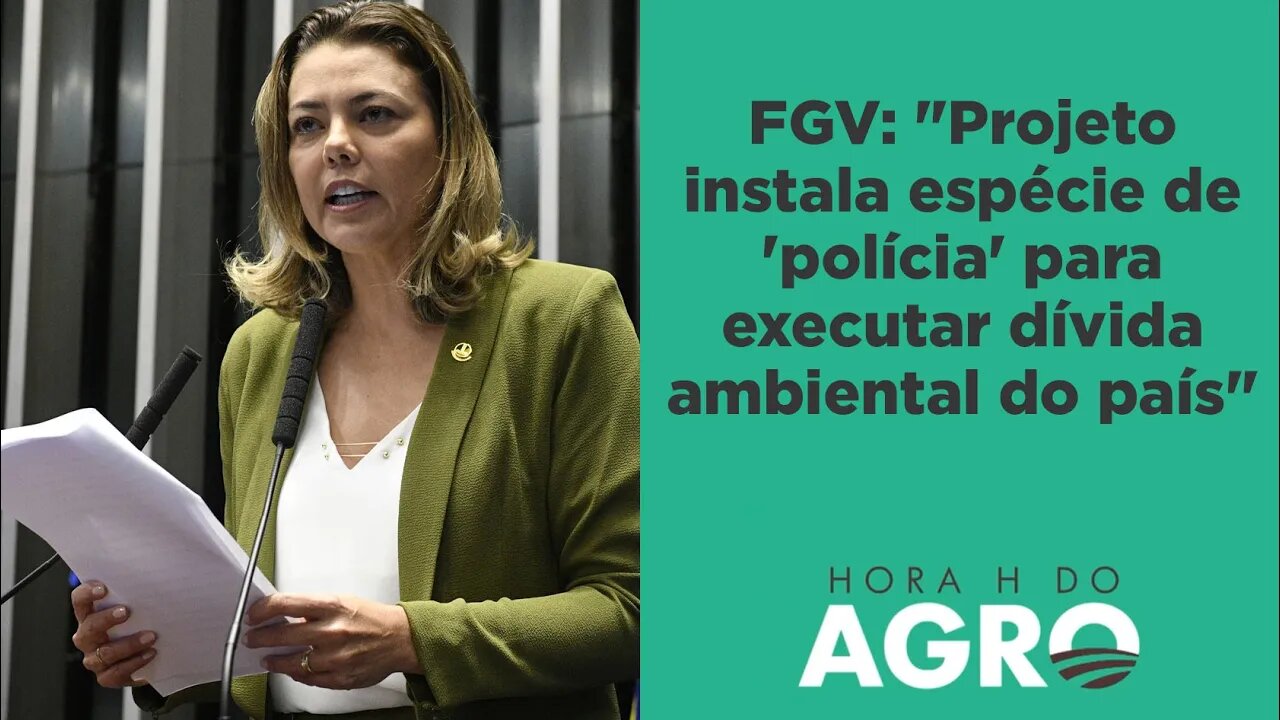 Mercado de carbono: "PL apoiado pelo governo cria mais obrigações e ameaças do que oportunidades"