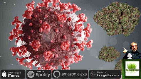 Cannabis Industry in a Pandemic