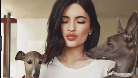 Best Celebrity Puppies! | National Dog Day!