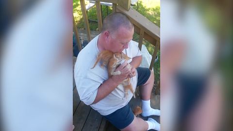 A Man Feeds Six Kittens
