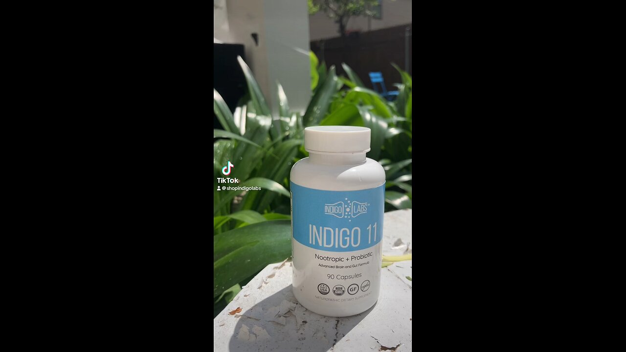 Indigo Labs Healthy Start